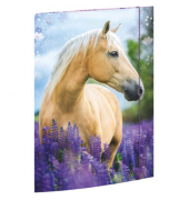 Gummizugmappe 45381, A3 bunt Karton 500g, mit 3 Einschlagklappen