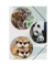 Gummizugmappe 21718-15 Pappe