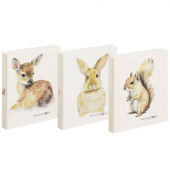 Ringbuch Reh, Hase und Eichhörnchen 20778-25, A4 2 Ringe 24mm Ring-Ø Graukarton farbig sortiert