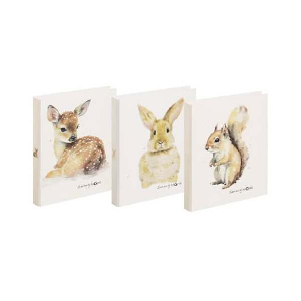 9 Stück Pagna Ringbuch Save me Reh, Hase und Eichhörnchen 20778-25, A4 2 Ringe 24mm Ring-Ø Graukarton farbig sortiert 4009212063601 Pagna
