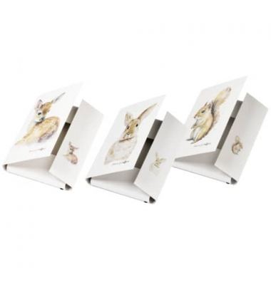 Sammelmappe 21352-25 farbig sortiert, Karton