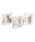 Ordner A4 75mm Save me No.4 sortiert
