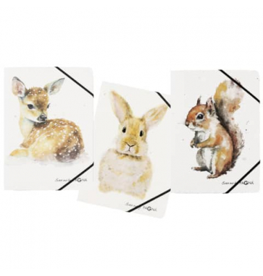 Gummizugmappe Save me 21700-25, A4 farbig sortiert Karton, mit 3 Einschlagklappen