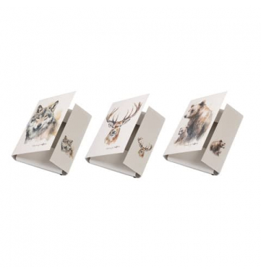 Heftbox 21353-25 farbig sortiert