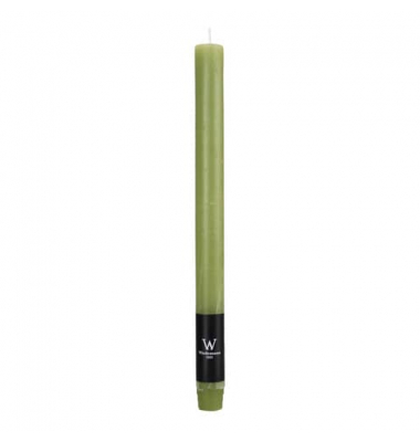 Kerzen 582100.009 grün 