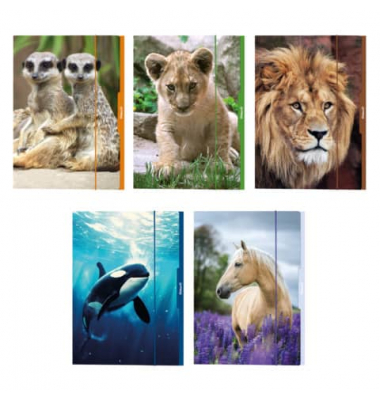 Sammelmappe 276887, A3 bunt, Karton