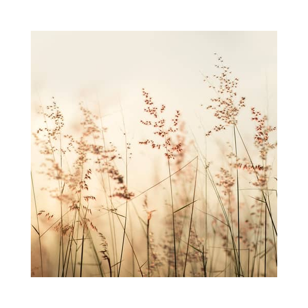 4014995801906 - Motivserviette 33x33cm Herbst 4014995801906 20 Stück 4014995801906 - Motivserviette 33x33cm Herbst 4014995801906 20 Stück