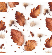 Motivserviette 33x33cm Herbst