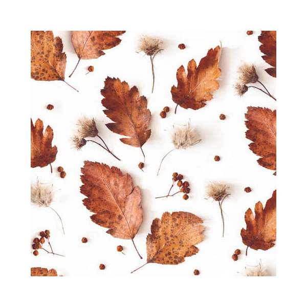 4014995801920 - Motivserviette 33x33cm Herbst 4014995801920 20 Stück 4014995801920 - Motivserviette 33x33cm Herbst 4014995801920 20 Stück