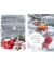 D.T.Weihnachtskarten 10ST sortiert