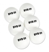 Tischtennisbälle 6er Set