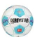 Fußball Derbystar Bundesliga 2425 Gr.5