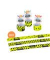 Armband Snap ABC CHAMPIONS sortiert