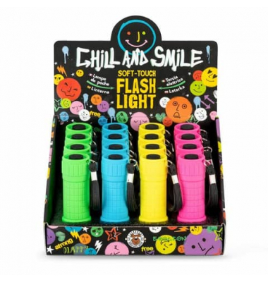 Taschenlampe LED sortiert
