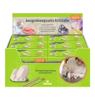 Ausgrabungsset Kristalle sortiert