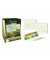 Malset Aquarell Dino