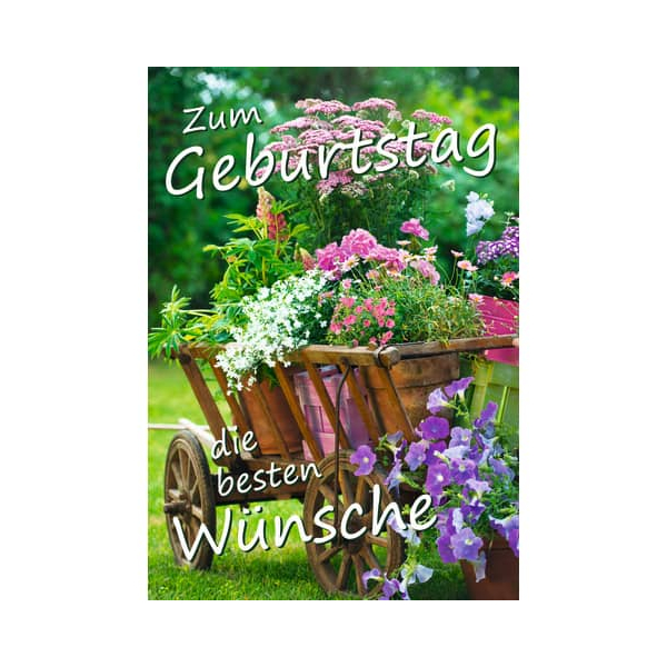 6 Stück Komma Geburtstagskarten 01-355 4057319013555 Komma³
