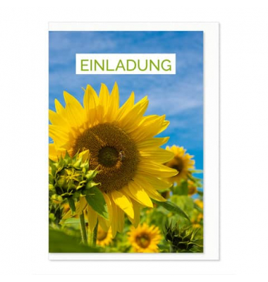 Einladungskarten 54-030