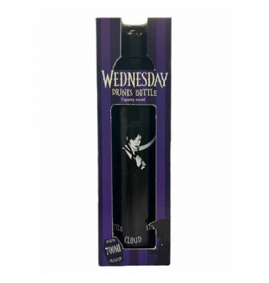 Trinkflasche 700ml stahl Wednesday