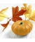 Motivserviette 33x33cm Herbst