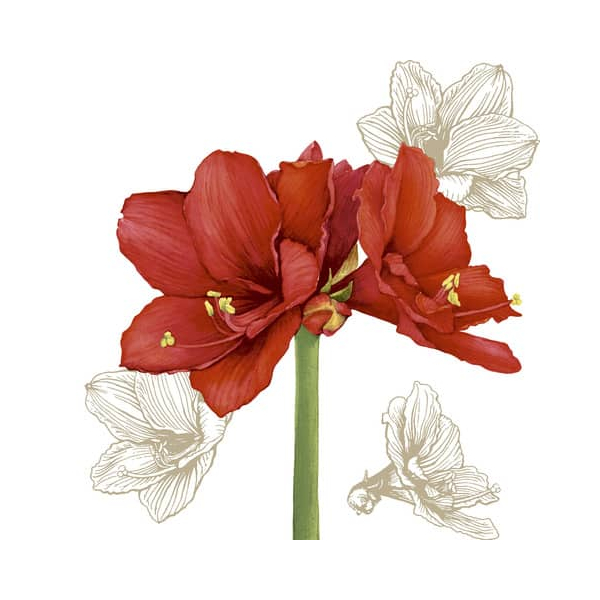 7321012075071 - WeihnZelltuchserviette 33x33cm 7321012075071 Paper+Design 20 Stück