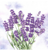 Motivserviette 33x33cm