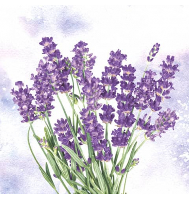 Motivserviette 33x33cm