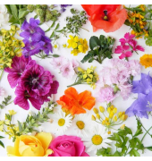 Motivserviette 33x33cm