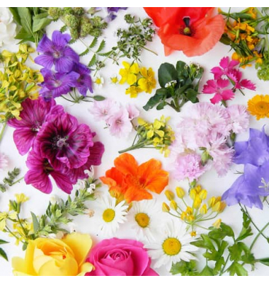 Motivserviette 33x33cm