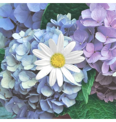 Motivservietten 209973, mehrfarbig / Blumen, 3-lagig, 33x33cm