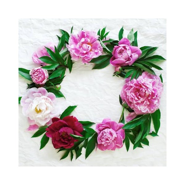 7321012099756 - Motivserviette 25x25cm 7321012099756 PAPER+DESIGN 7321012099756 - Motivserviette 25x25cm 7321012099756 PAPER+DESIGN