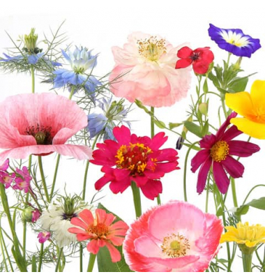 Motivservietten 209976, mehrfarbig / Blumen, 3-lagig, 33x33cm