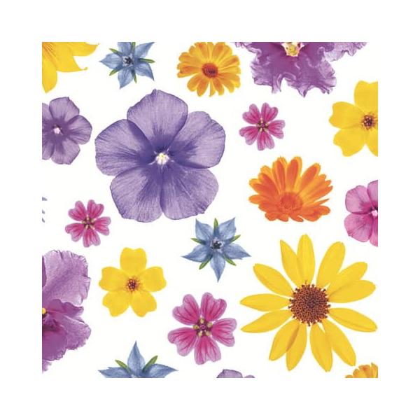 7321012099800 - Motivserviette 33x33cm 7321012099800 PAPER+DESIGN 7321012099800 - Motivserviette 33x33cm 7321012099800 PAPER+DESIGN