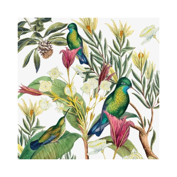 7321012099862 - Motivserviette 25x25cm tropic 7321012099862 PAPER+DESIGN 7321012099862 - Motivserviette 25x25cm tropic 7321012099862 PAPER+DESIGN