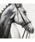 Motivserviette 33x33cm Tiere