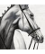 Motivserviette 33x33cm Tiere