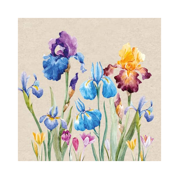 7321012099954 - Motivserviette 33x33cm Naturals 7321012099954 PAPER+DESIGN 7321012099954 - Motivserviette 33x33cm Naturals 7321012099954 PAPER+DESIGN