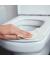 Reiniger Toilettensitz flüssig
