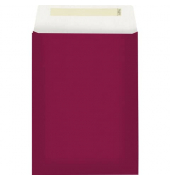 Geschenktüten 2536 5250 24, keines, 22cm x 30cm