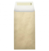 Geschenktüten 2531 5250 80, keines, 12cm x 220mm