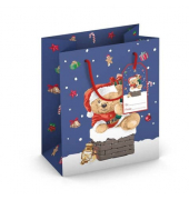 Geschenktasche 224-514 TM Weihnachts-Geschenktragetasche Kind Teddy, Weihnachten, gedrehte Kordel mit Karte, Teddy, 19cm x 230mm