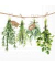 Motivserviette 33x33cm Fresh herbs