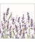 Motivserviette 33x33cm Lavendel