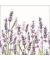 Motivserviette 33x33cm Lavendel