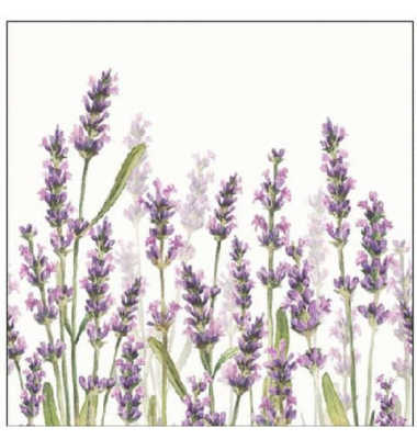 Motivserviette 25x25cm Lavendel