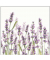 Motivserviette 25x25cm Lavendel