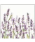 Motivserviette 25x25cm Lavendel