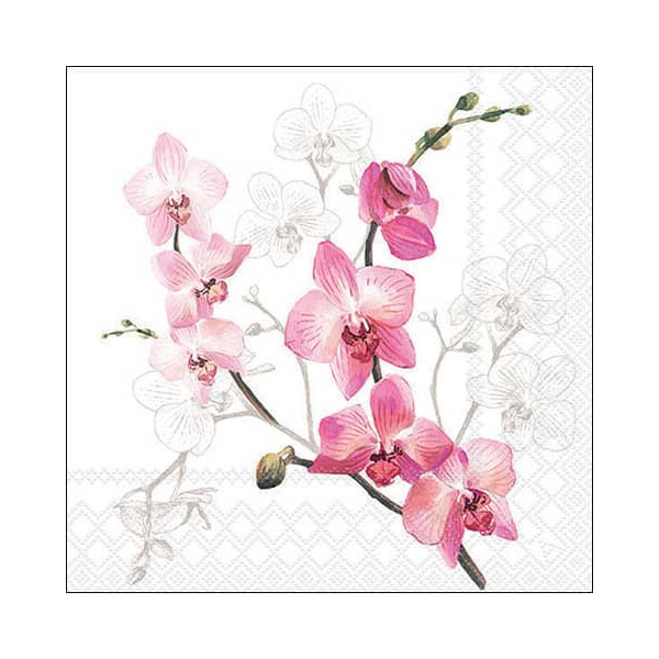 8712159182835 - Motivserviette 33x33cm Orchid 8712159182835 20 Stück 8712159182835 - Motivserviette 33x33cm Orchid 8712159182835 20 Stück