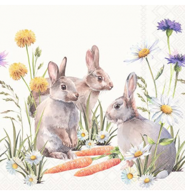 Frühjahrsserviette 33x33cm  Caroot