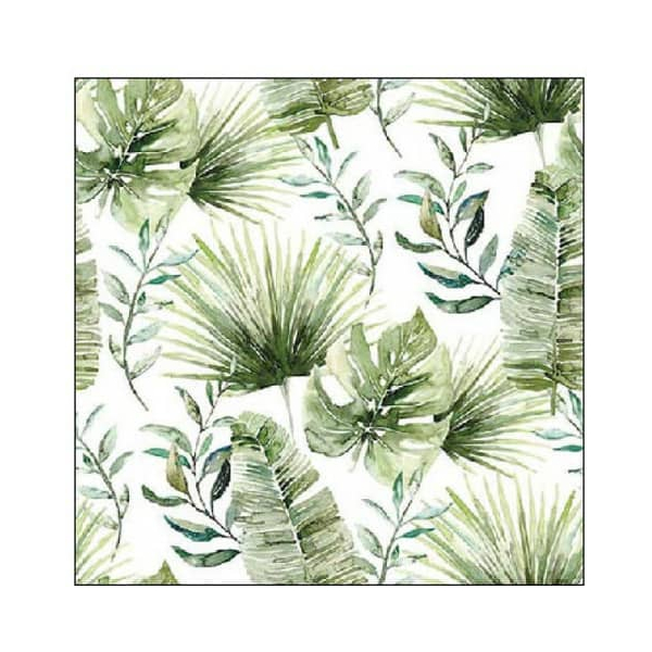 8712159193077 - Motivserviette 25x25cm Dschungelblätter 8712159193077 20 Stück 8712159193077 - Motivserviette 25x25cm Dschungelblätter 8712159193077 20 Stück